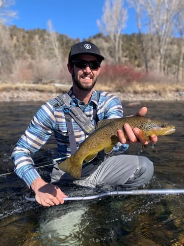 Eagle River Fly Fishing In Eagle