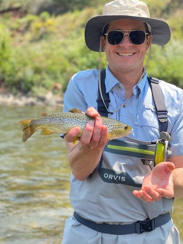 Eagle River Fly Fishing In Eagle