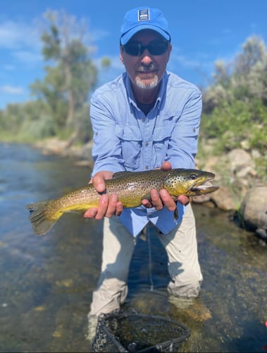 Eagle River Fly Fishing In Eagle