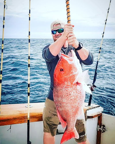 Destin Red Snapper Adventure In Destin