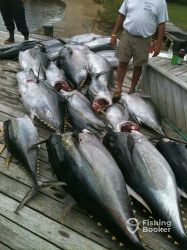 Offshore Tuna / Marlin / Mahi Mahi In Hampton Bays