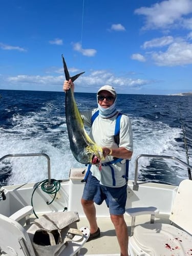 Offshore Tuna / Marlin / Mahi Mahi In Hampton Bays