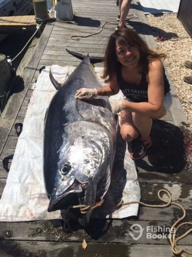 Offshore Tuna / Marlin / Mahi Mahi In Hampton Bays