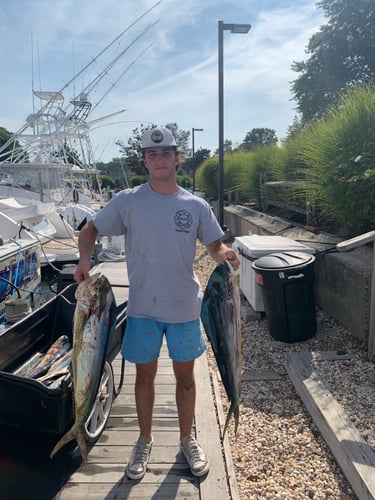 Offshore Tuna / Marlin / Mahi Mahi In Hampton Bays