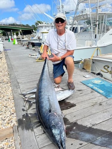 Offshore Tuna / Marlin / Mahi Mahi In Hampton Bays