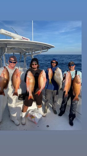 Chasing Deep Water Giants In Port Orange