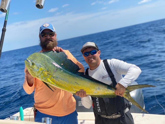 Chasing Deep Water Giants In Port Orange