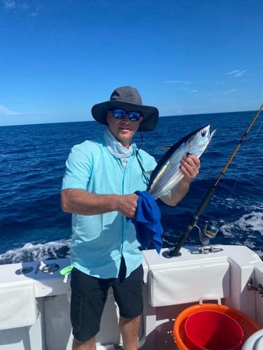 Seriously Huge Snapper And Grouper - 28' In Tierra Verde