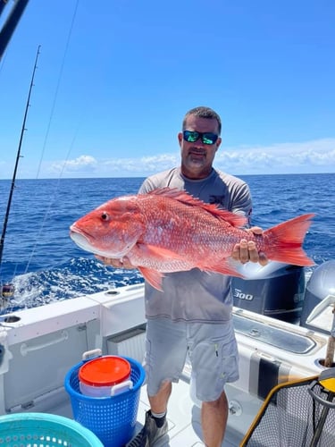 Seriously Huge Snapper And Grouper - 28' In Tierra Verde