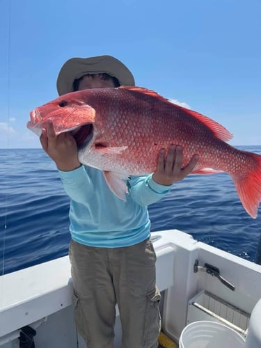 Offshore Max-Out Seasonal Species In St. Petersburg