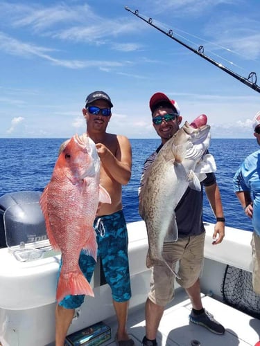 Offshore Seasonal Species - 48’ Yacht In St. Petersburg