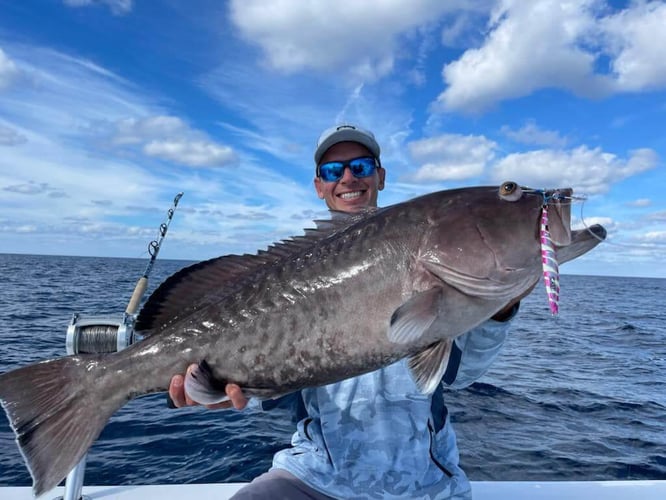 Offshore Max-Out Seasonal Species In St. Petersburg