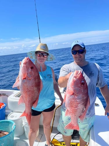 Seriously Huge Snapper & Grouper - 35' Contender PRO SERIES In Tierra Verde