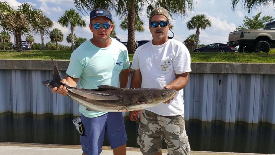 Seriously Huge Snapper And Grouper - 28' In Tierra Verde