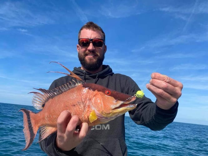 Offshore Max-Out Seasonal Species In St. Petersburg