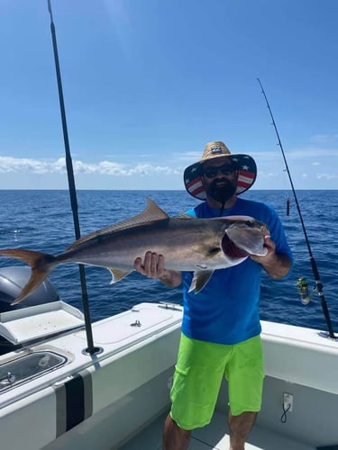 Offshore Seasonal Species - 48’ Yacht Sport Fish In St. Petersburg