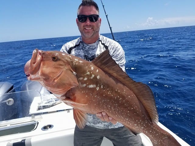 Seriously Huge Snapper & Grouper - 35' Contender PRO SERIES In Tierra Verde