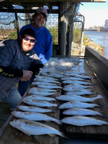 Freeport Beach Bay Fishing In Freeport