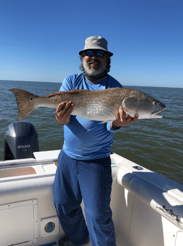 Freeport Beach Bay Fishing In Freeport