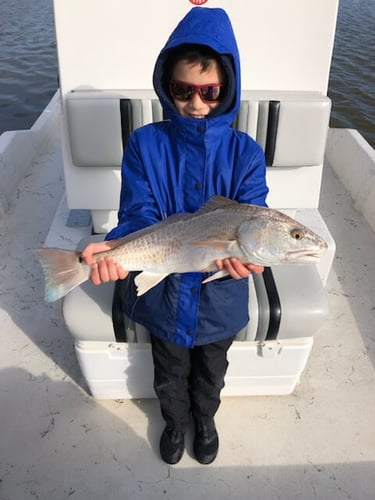 Freeport Beach Bay Fishing In Freeport