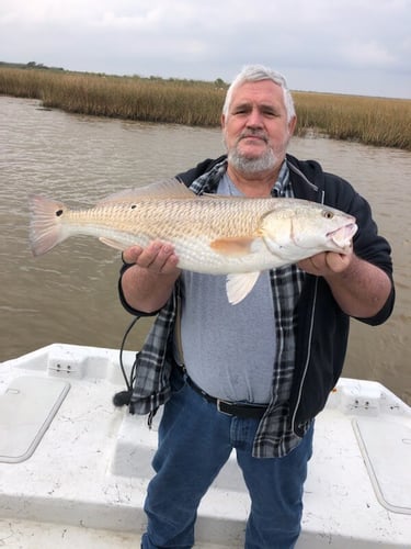 Freeport Beach Bay Fishing In Freeport