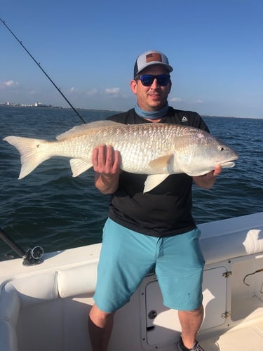 Freeport Beach Bay Fishing In Freeport