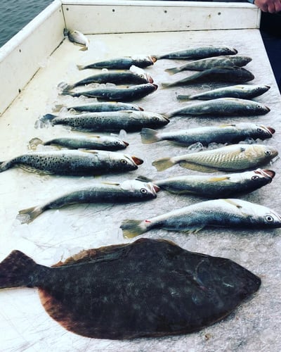 Surfside Beach Bay Fishing in Surfside Beach