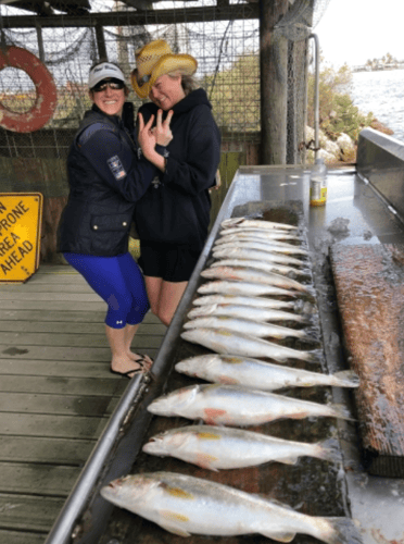 Freeport Beach Bay Fishing In Freeport