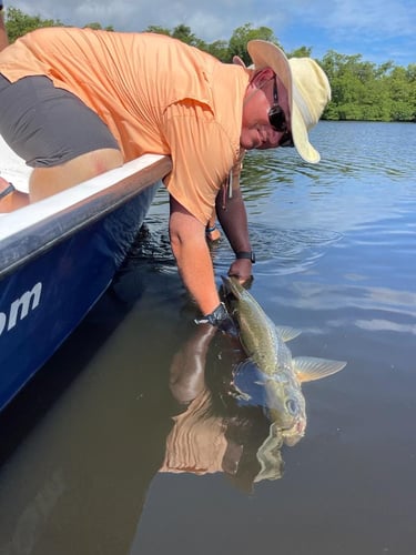 Puerto Rico Tarpon Charter In Carolina