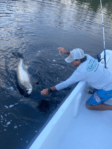 Puerto Rico Tarpon Charter In Carolina