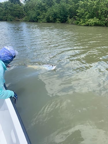 Puerto Rico Tarpon Charter In Carolina