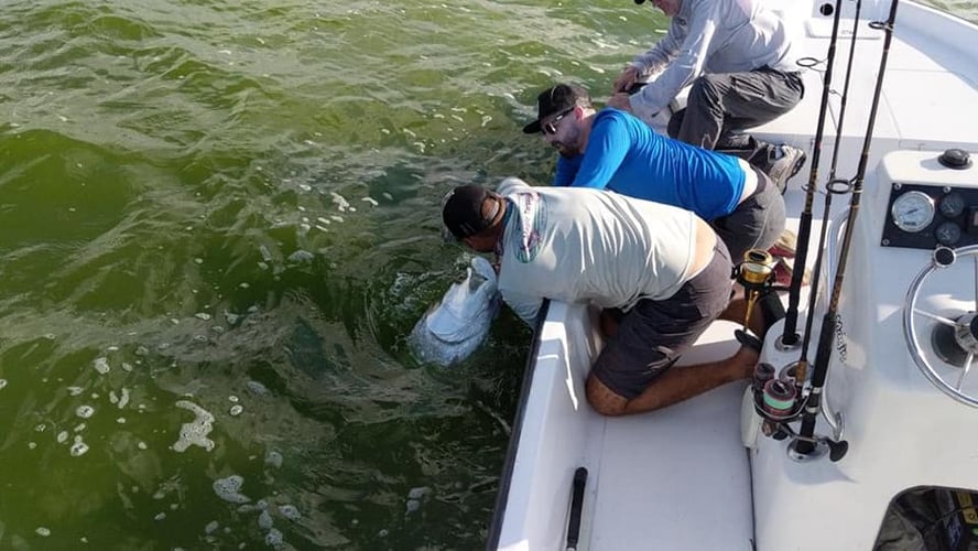 Puerto Rico Tarpon Charter In Carolina