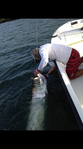 Puerto Rico Tarpon Charter In Carolina