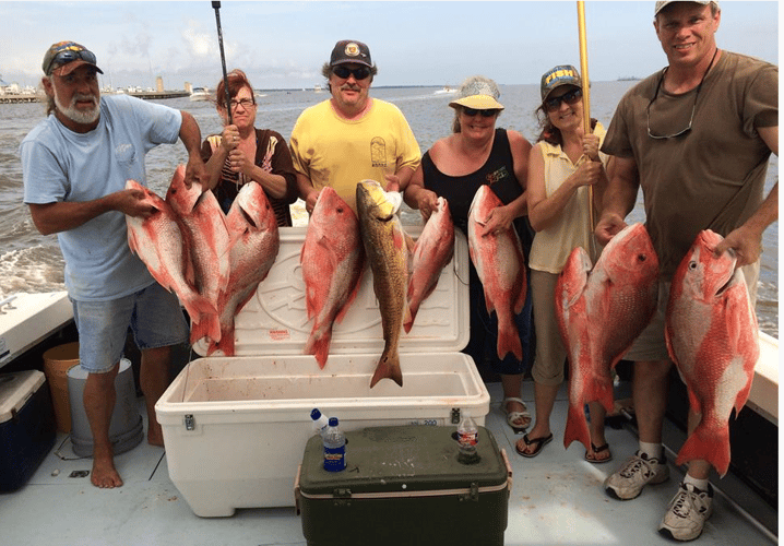 Red Snapper Fishing In Biloxi