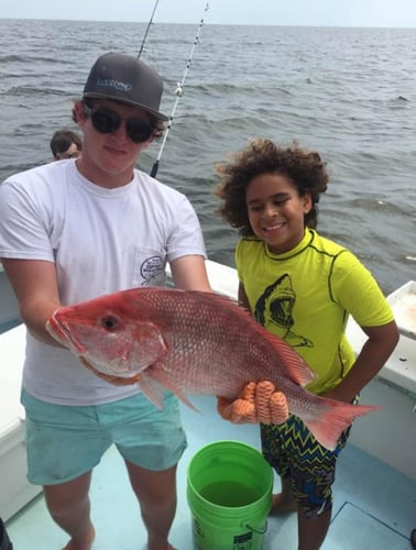 Red Snapper Fishing In Biloxi