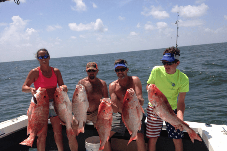 Red Snapper Fishing In Biloxi