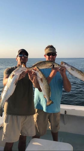 5 Hour Trip – Speckled Trout