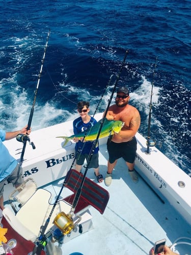 Yellowfin & Mahi Mahi Combo In Hatteras