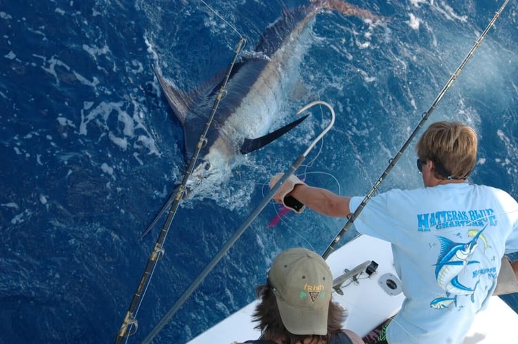 Yellowfin & Mahi Mahi Combo In Hatteras