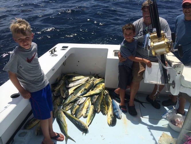 Yellowfin & Mahi Mahi Combo In Hatteras