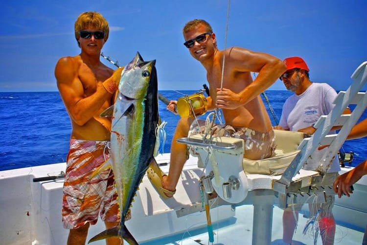 Yellowfin & Mahi Mahi Combo In Hatteras