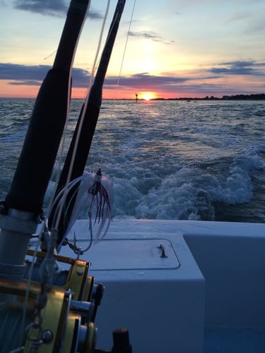 Gulf Stream Deep Run in Hatteras