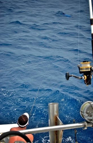 Gulf Stream Deep Run in Hatteras