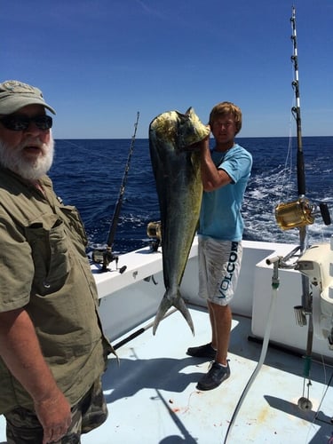 Yellowfin & Mahi Mahi Combo In Hatteras