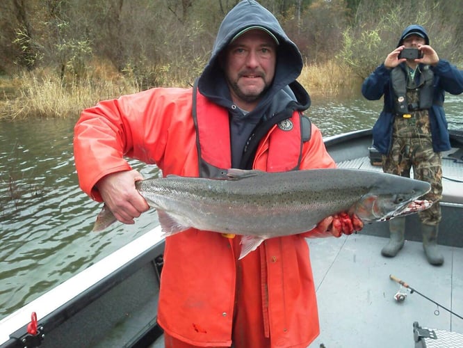 Columbia River Salmon & Steelhead In Scappoose