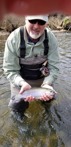 Full Day or Half Day Guided Trip in Broken Bow