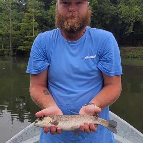 Full Day or Half Day Guided Trip in Broken Bow