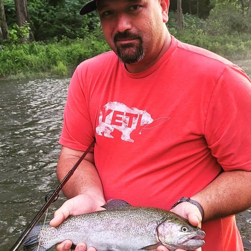 Full Day or Half Day Guided Trip in Broken Bow
