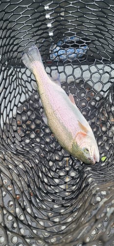Full Day or Half Day Guided Trip in Broken Bow