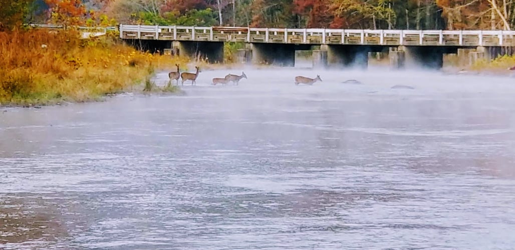 Full Day or Half Day Guided Trip in Broken Bow